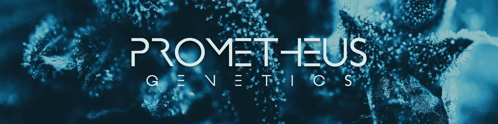 Breeder page banner for Prometheus Genetics