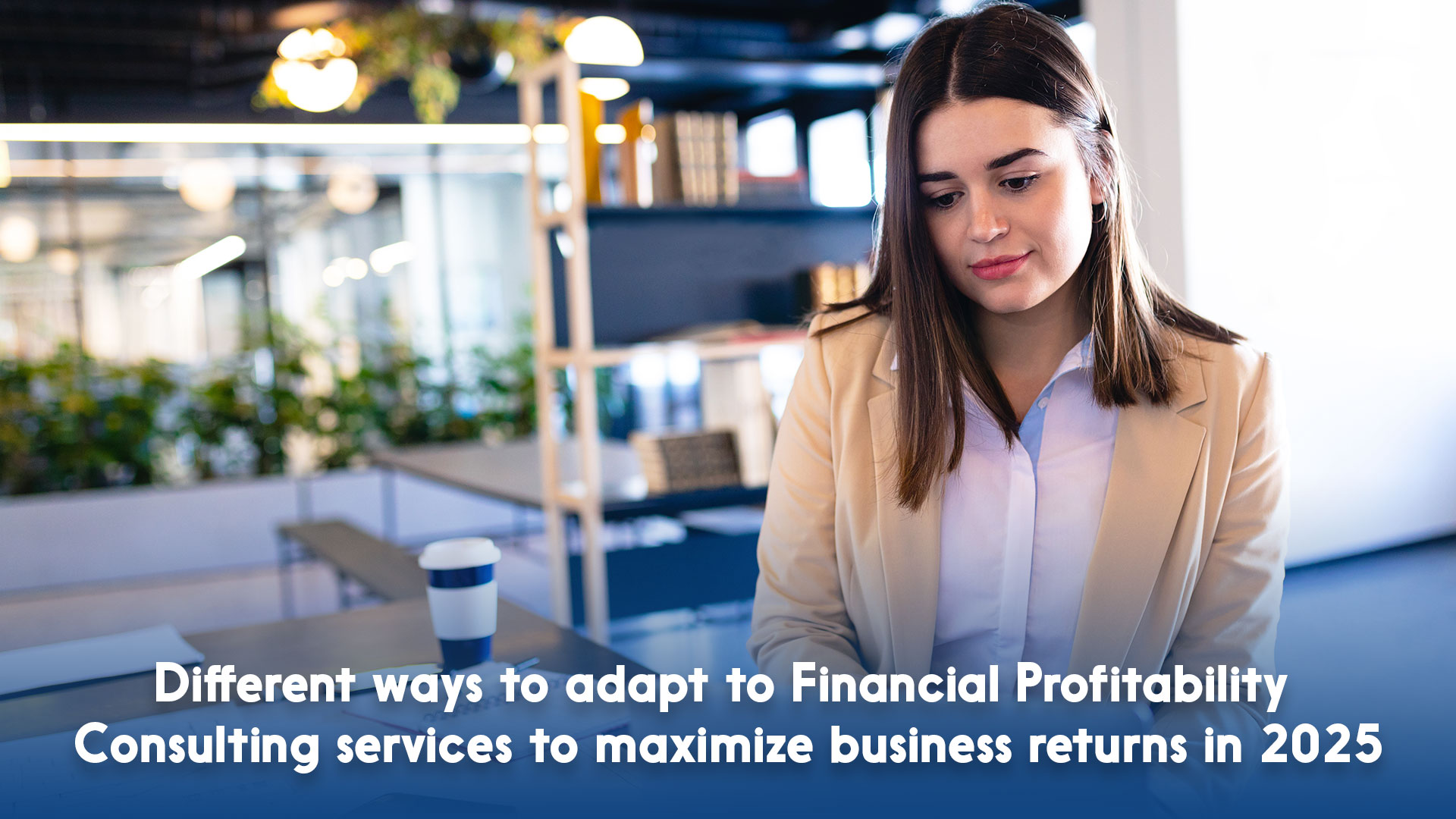 Different ways to adapt to Financial Profitability Consulting services to maximize business returns in 2025