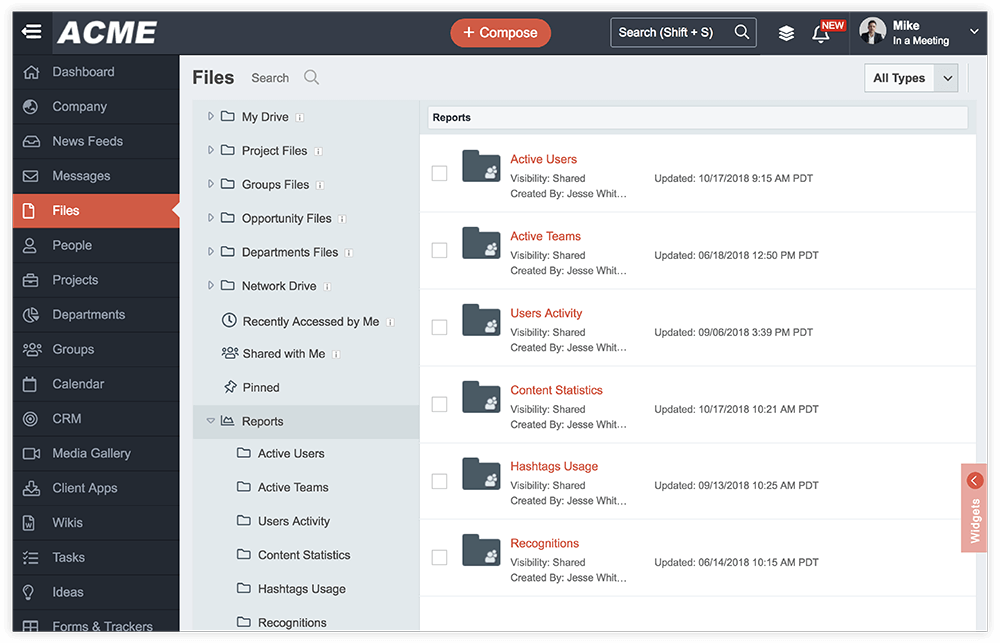 User interface of ACME file management system showing sidebar menu and reports list with folders like Active Users, Active Teams, and Users Activity.