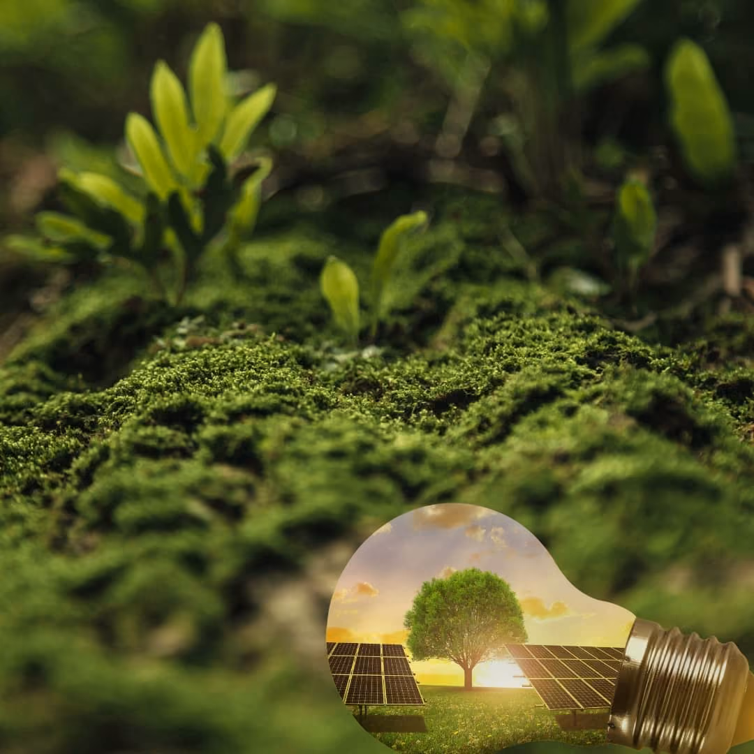 Biopohjaiset materiaalit ja uusiutuvat energiaratkaisut tukemassa kestävää kehitystä ja vähentämässä ympäristövaikutuksia.