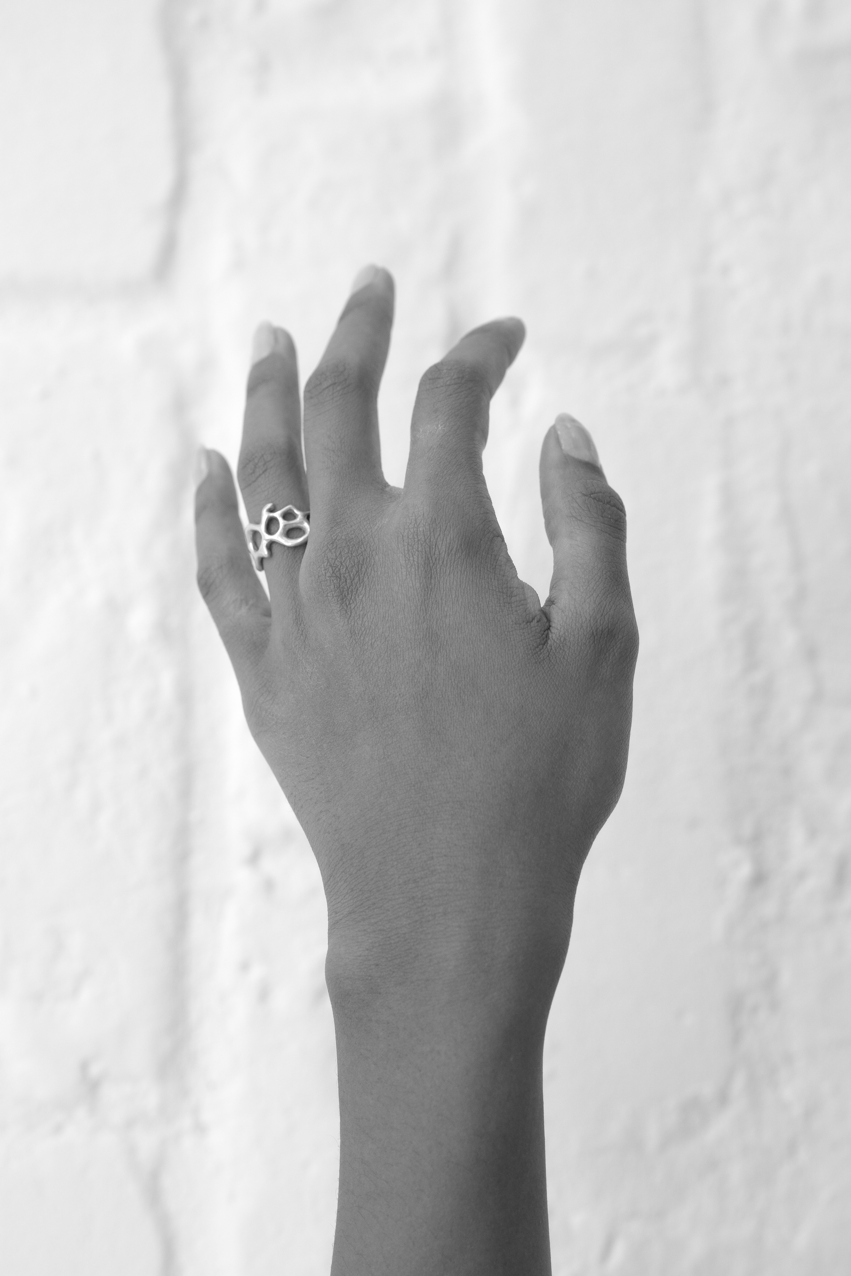 camil ring