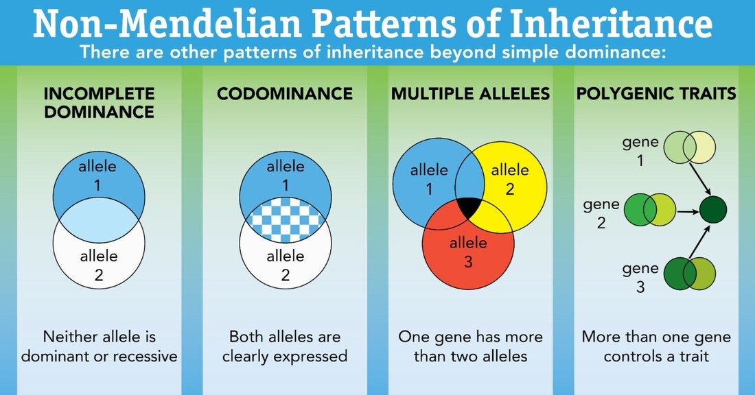 Non-Mendelian Patterns of Inheritance