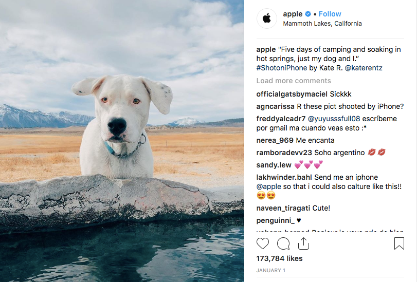 A image shot on Iphone featuring a white dog stands in front of a hot spring, with a vast dry field and mountains in the background.