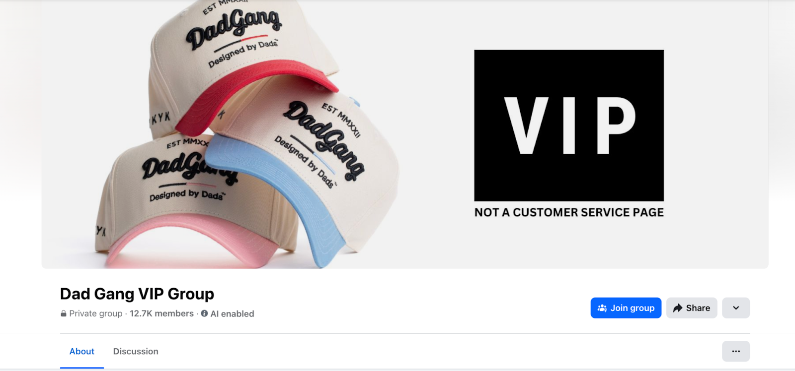 Header image of a private Facebook group named “Dad Gang VIP."