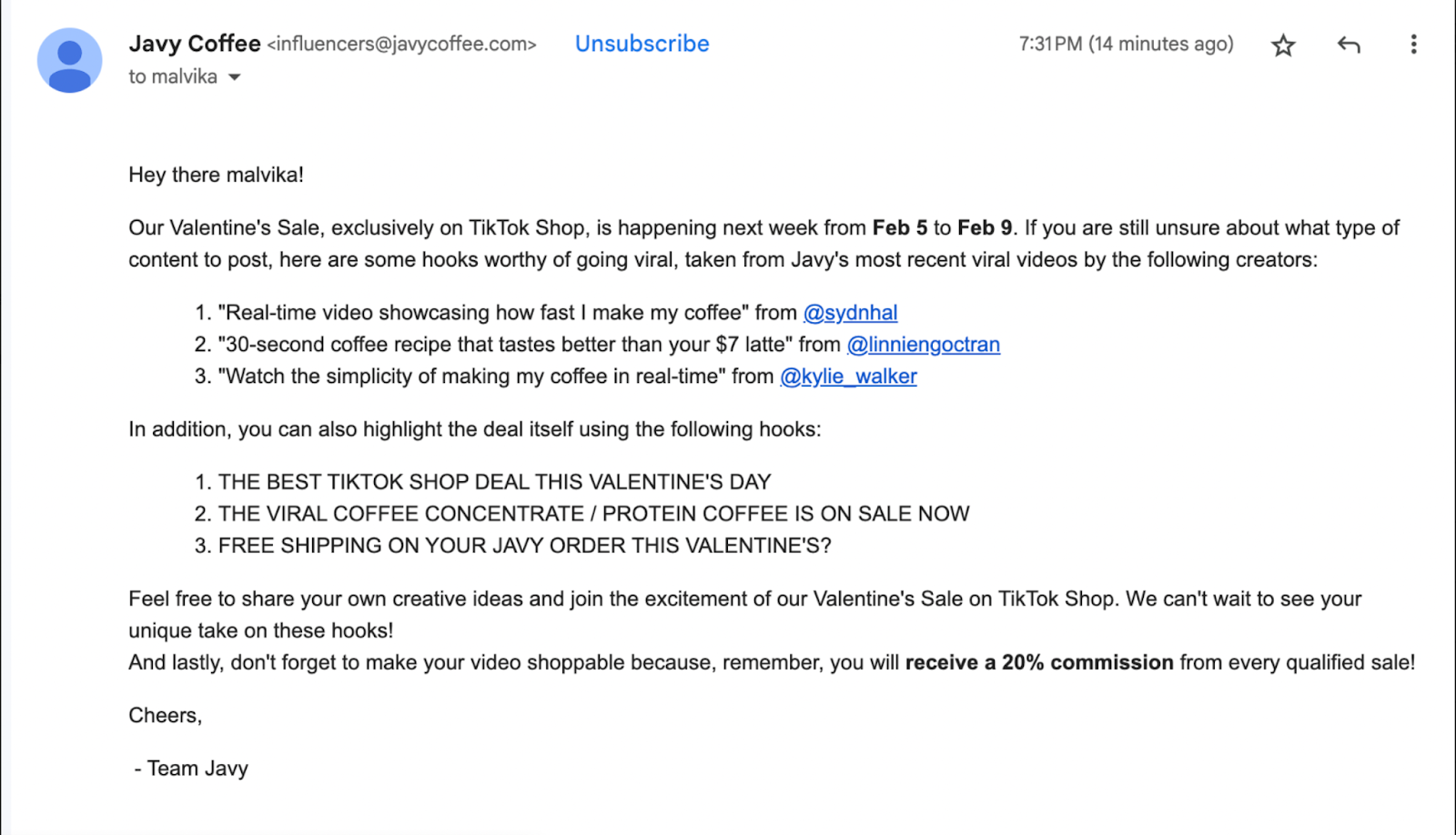Example of an email with a brief and sale details to influencers
