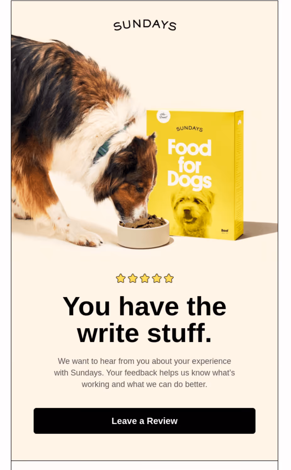 post-purchase email asking for a review