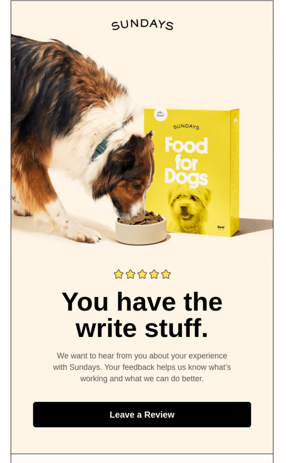 post-purchase email asking for a review