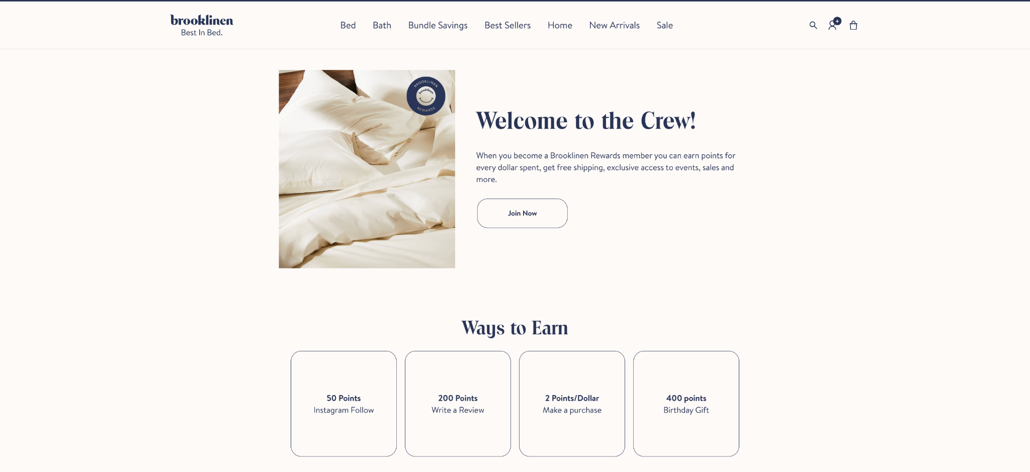 Example of a points-based referral program