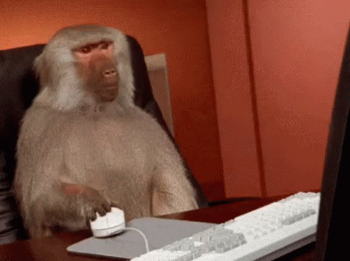 GIF - singe qui clic sur une souris