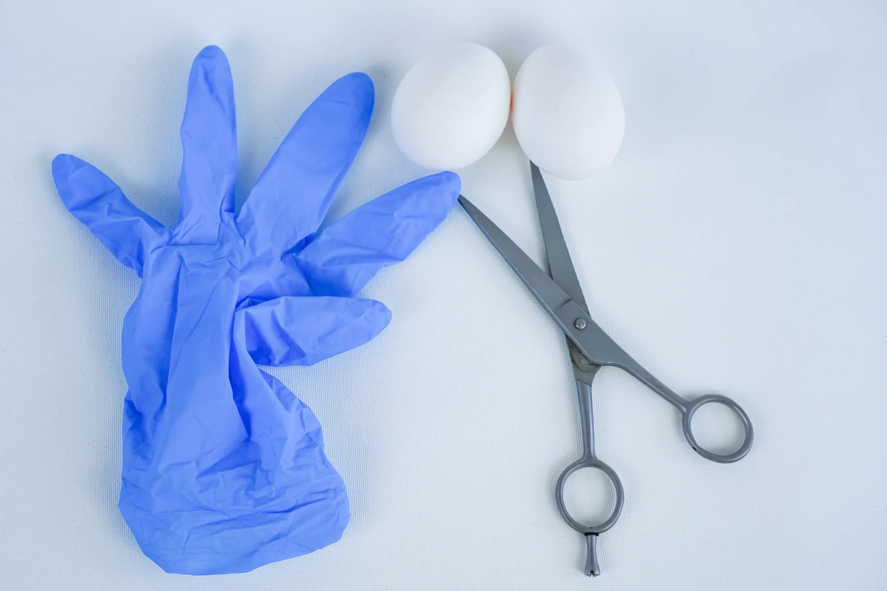 Symbolbild Orchiektomie: Operationsschere, blaue OP-Handschuhe und zwei Eier als Darstellung der Hodenentfernung. | GoSpring