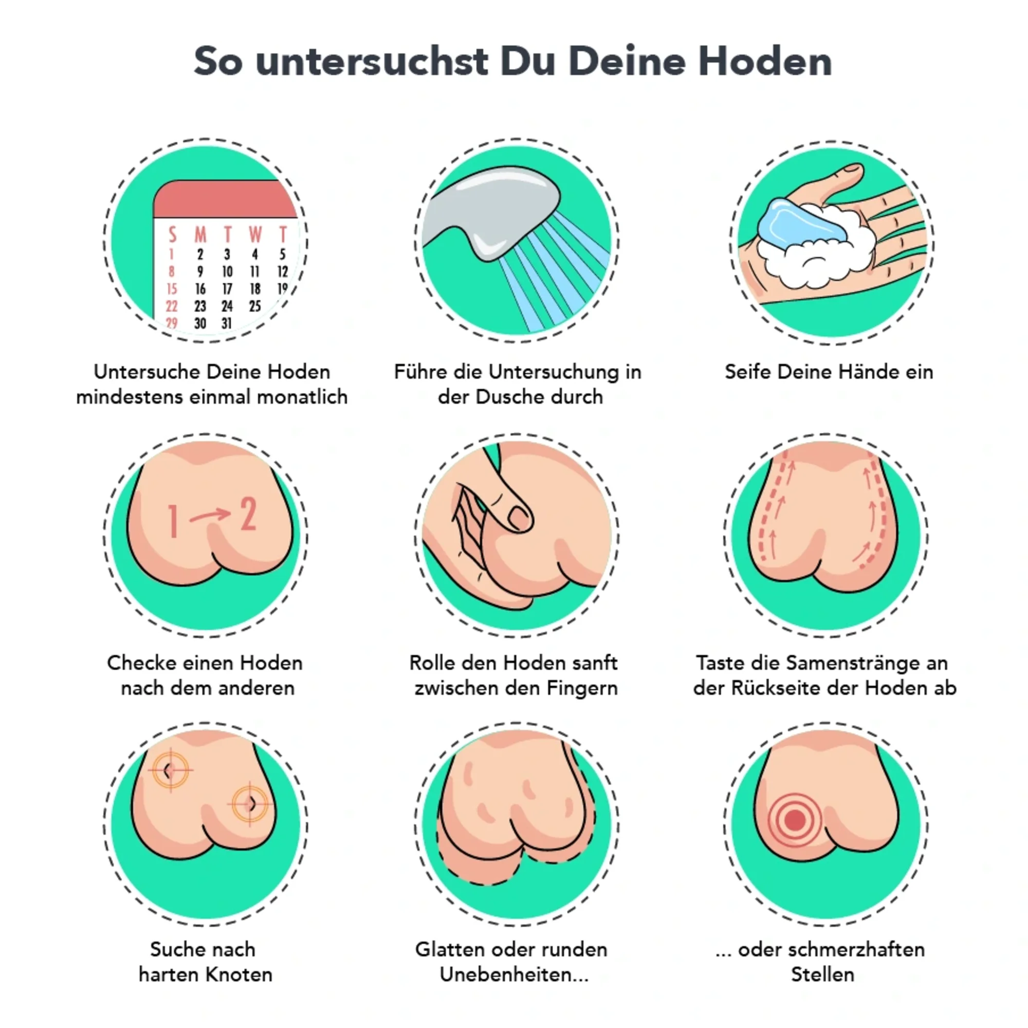 So untersuchst Du Deine Hoden. | GoSpring