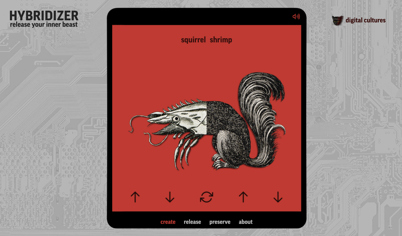 No alt text provided for this image