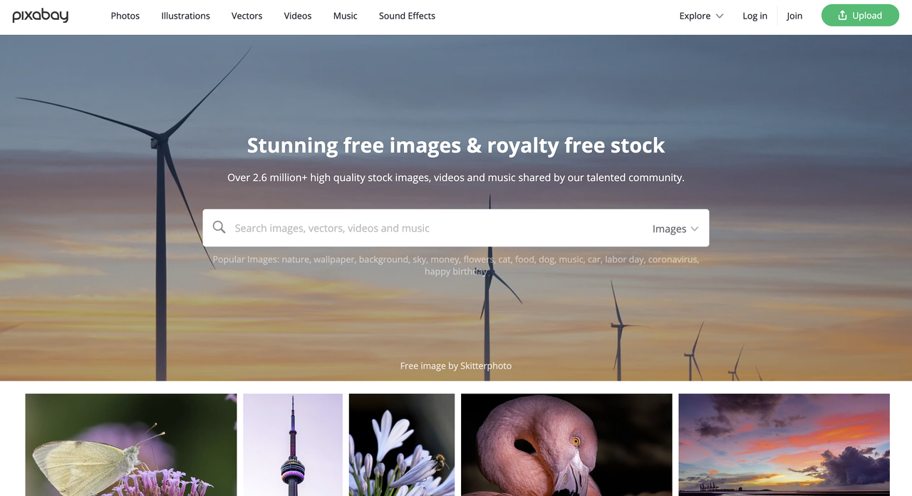 No alt text provided for this image