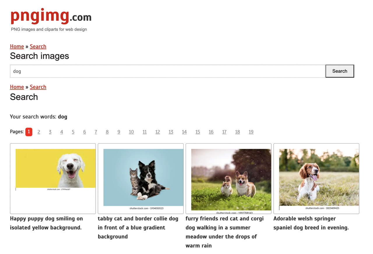 No alt text provided for this image