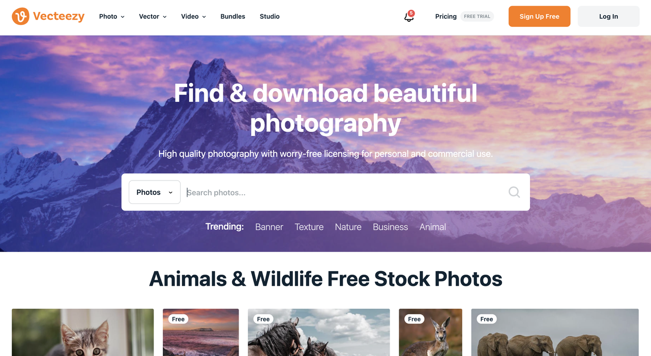 No alt text provided for this image