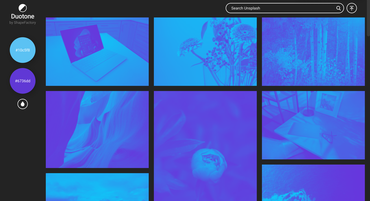 No alt text provided for this image