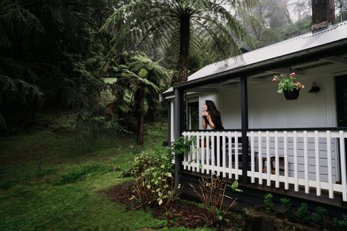 Dingleigh of Sassafras