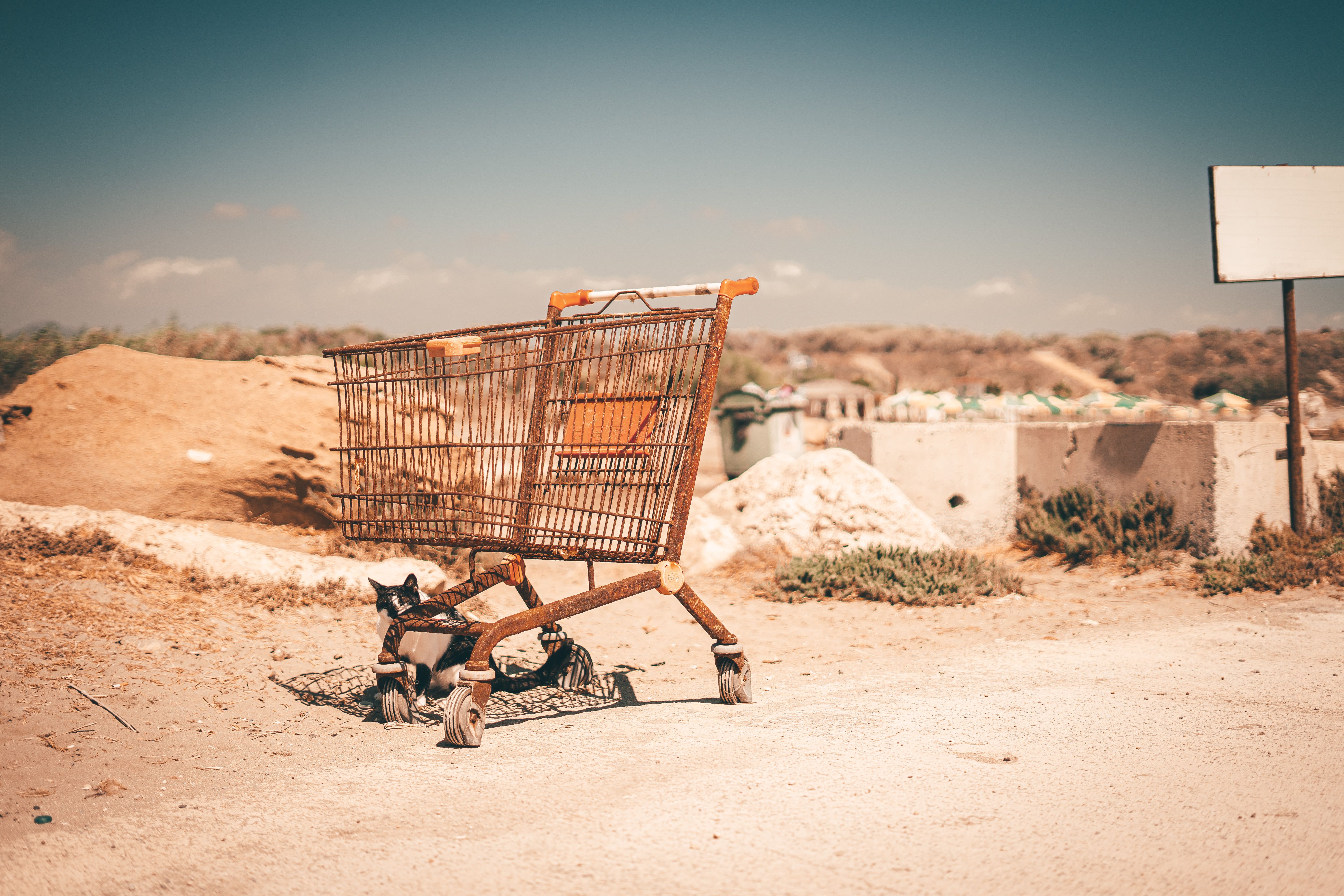 Retail Checkout Optimization