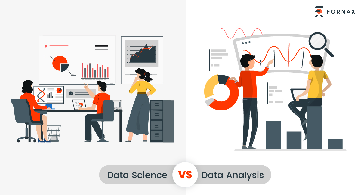 Data Science Vs Data Analysis - How data-driven decision-making is important for D2C Success?