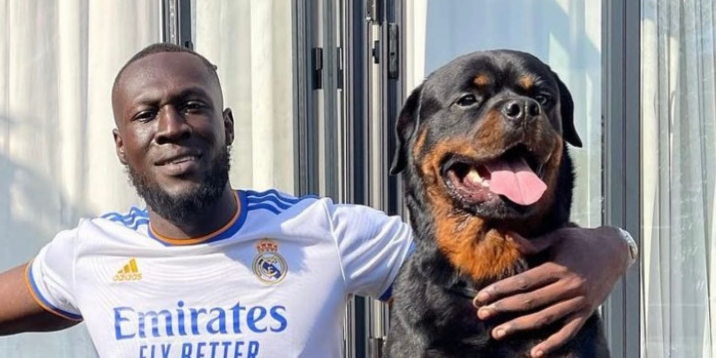 STORMZY LEFT HEARTBROKEN FOLLOWING THE DEATH OF BELOVED DOG ENZO