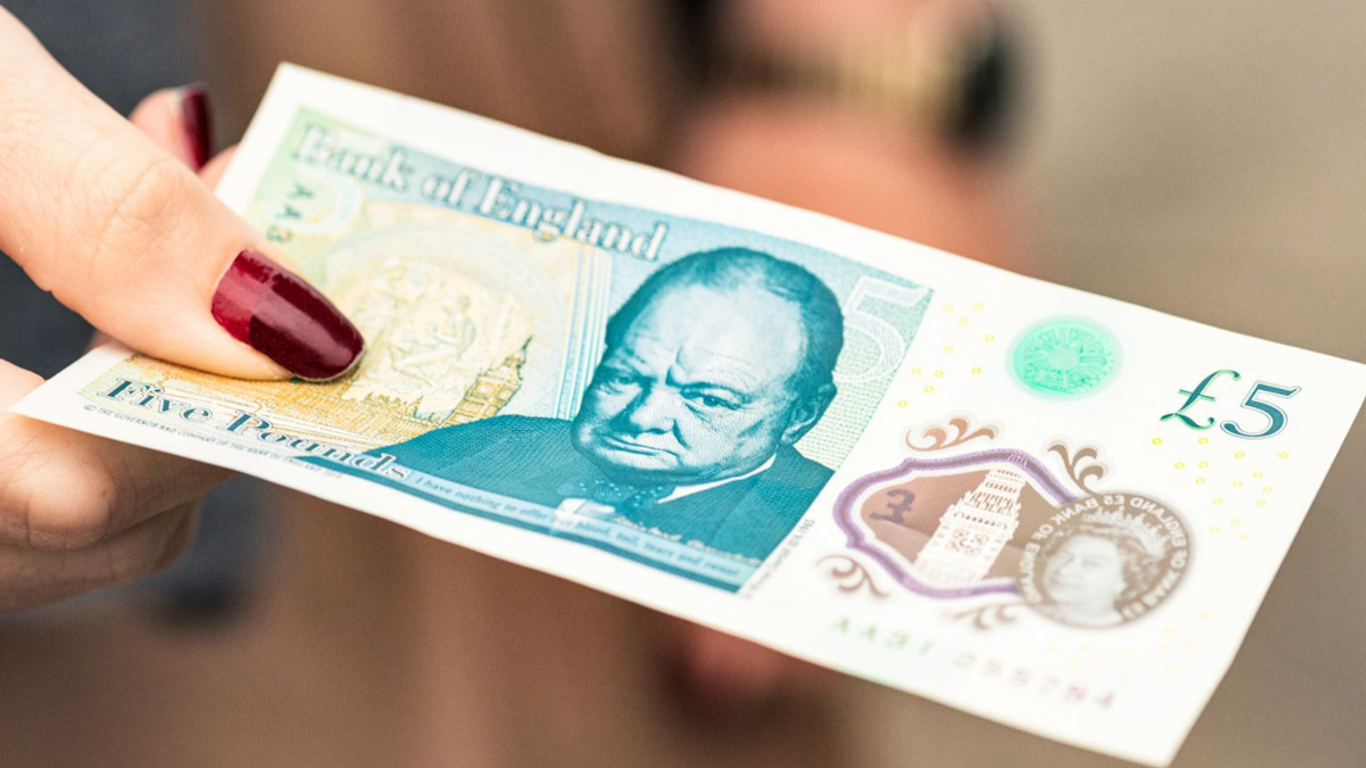CRITICS SLAM MOVE TO REPLACE CHURCHILL AND SHAKESPEARE WITH WILDLIFE ON BANKNOTES 