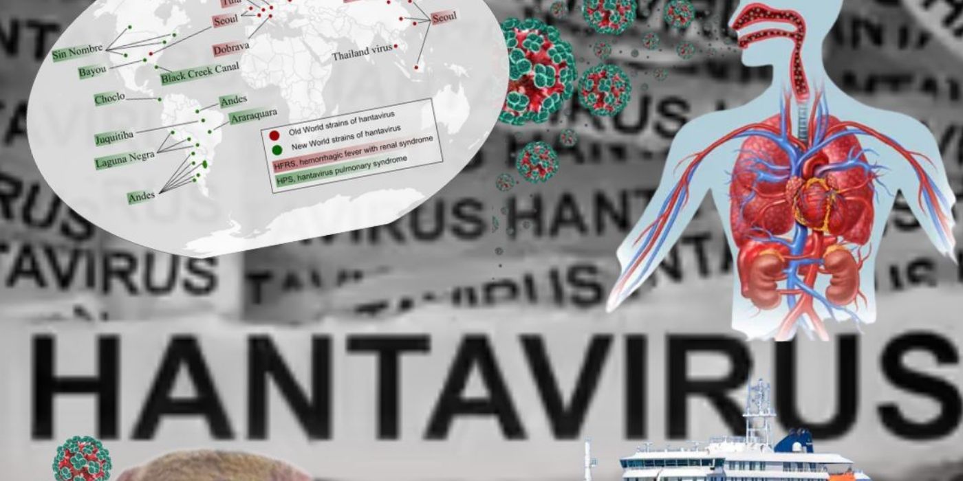 HANTAVIRUS: EVERYTHING YOU NEED TO KNOW