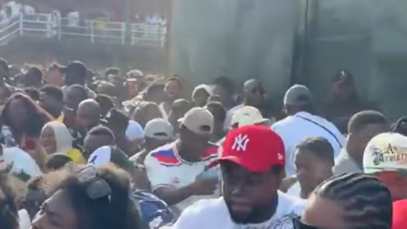 GHANA PARTY IN THE PARK CANCELLED AFTER CROWD CRUSH
