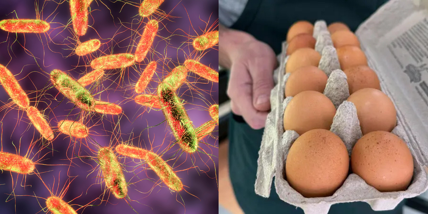 ONE DEAD MORE THAN 200 INFECTED IN SALMONELLA OUTBREAK