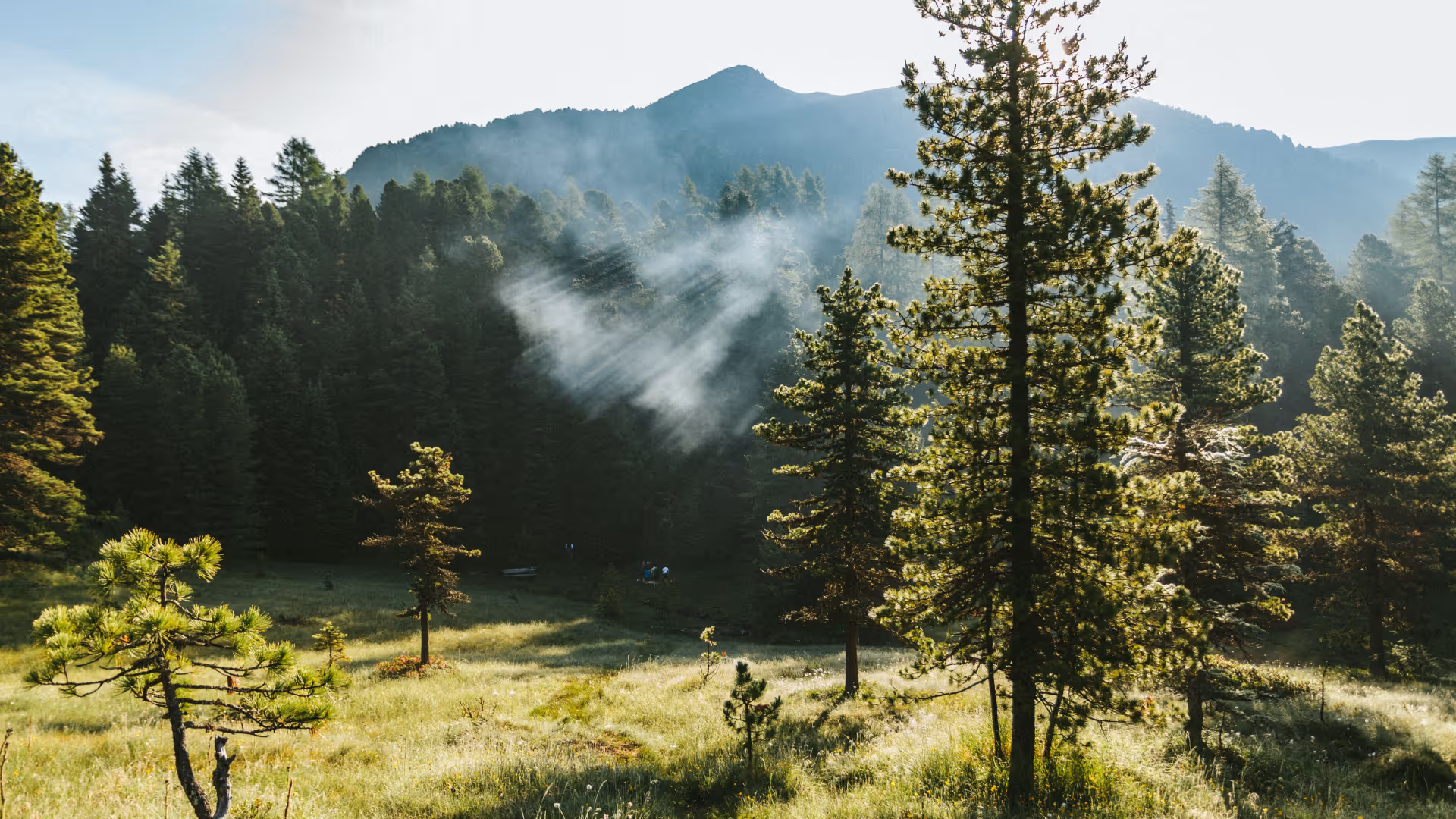 Nachhaltiges Bauen für Investoren | Almdorfbau
