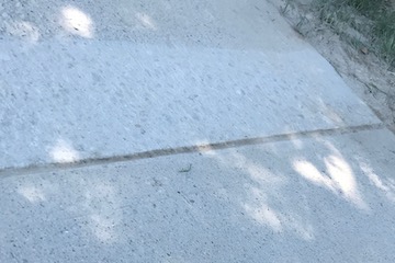 uneven sidewalk trip hazard now fixed