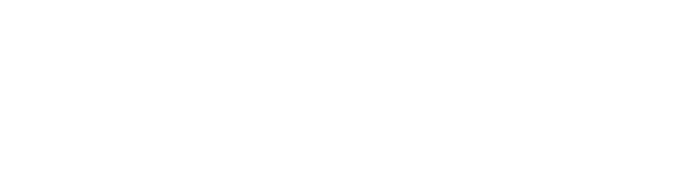The Big Whale