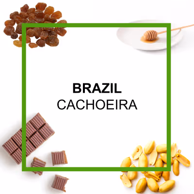 Organic authentic chai concentrate from Say When beverages. Inspired from by chai from the Krakoram region. Cardamom, cinnamon, black pepper, hand-selected black tea, ginger, lemon juice, molasses, brown sugar.