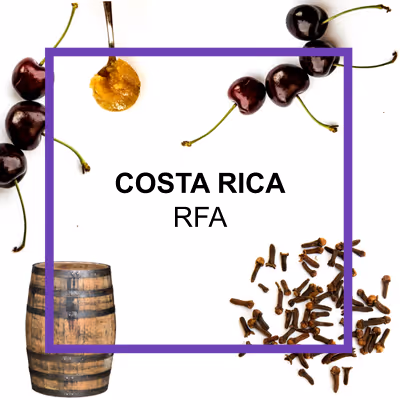 Organic authentic chai concentrate from Say When beverages. Inspired from by chai from the Krakoram region. Cardamom, cinnamon, black pepper, hand-selected black tea, ginger, lemon juice, molasses, brown sugar.