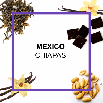 Ed Denyer, founder of Eco Coffee, with a stack of branded cloth coffee bags behind him