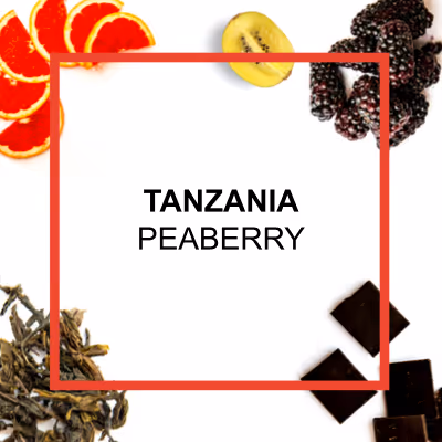 Organic authentic chai concentrate from Say When beverages. Inspired from by chai from the Krakoram region. Cardamom, cinnamon, black pepper, hand-selected black tea, ginger, lemon juice, molasses, brown sugar.