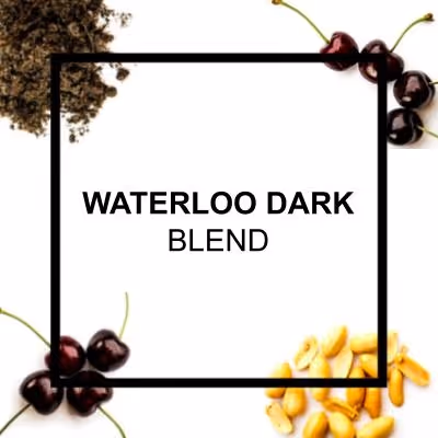 Organic authentic chai concentrate from Say When beverages. Inspired from by chai from the Krakoram region. Cardamom, cinnamon, black pepper, hand-selected black tea, ginger, lemon juice, molasses, brown sugar.