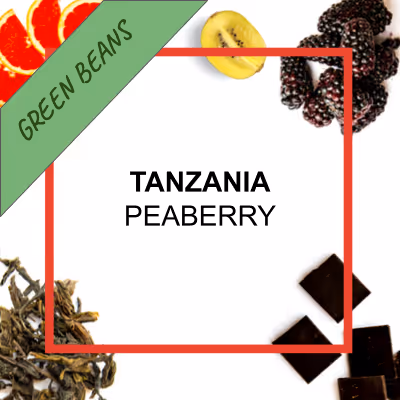 Organic authentic chai concentrate from Say When beverages. Inspired from by chai from the Krakoram region. Cardamom, cinnamon, black pepper, hand-selected black tea, ginger, lemon juice, molasses, brown sugar.