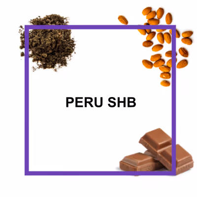 Organic authentic chai concentrate from Say When beverages. Inspired from by chai from the Krakoram region. Cardamom, cinnamon, black pepper, hand-selected black tea, ginger, lemon juice, molasses, brown sugar.