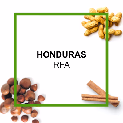 Organic authentic chai concentrate from Say When beverages. Inspired from by chai from the Krakoram region. Cardamom, cinnamon, black pepper, hand-selected black tea, ginger, lemon juice, molasses, brown sugar.