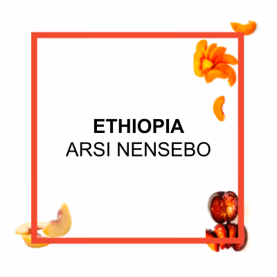 Organic authentic chai concentrate from Say When beverages. Inspired from by chai from the Krakoram region. Cardamom, cinnamon, black pepper, hand-selected black tea, ginger, lemon juice, molasses, brown sugar.
