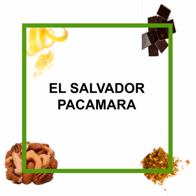 Organic authentic chai concentrate from Say When beverages. Inspired from by chai from the Krakoram region. Cardamom, cinnamon, black pepper, hand-selected black tea, ginger, lemon juice, molasses, brown sugar.