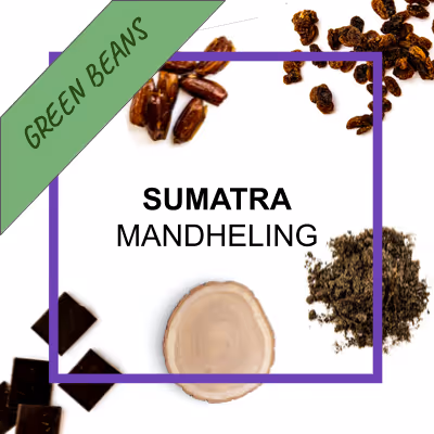 Organic authentic chai concentrate from Say When beverages. Inspired from by chai from the Krakoram region. Cardamom, cinnamon, black pepper, hand-selected black tea, ginger, lemon juice, molasses, brown sugar.