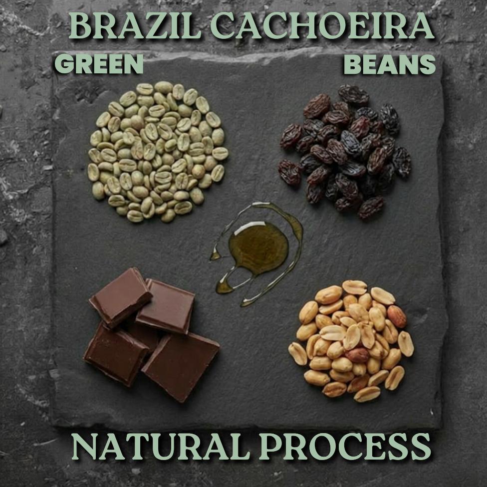 Organic authentic chai concentrate from Say When beverages. Inspired from by chai from the Krakoram region. Cardamom, cinnamon, black pepper, hand-selected black tea, ginger, lemon juice, molasses, brown sugar.
