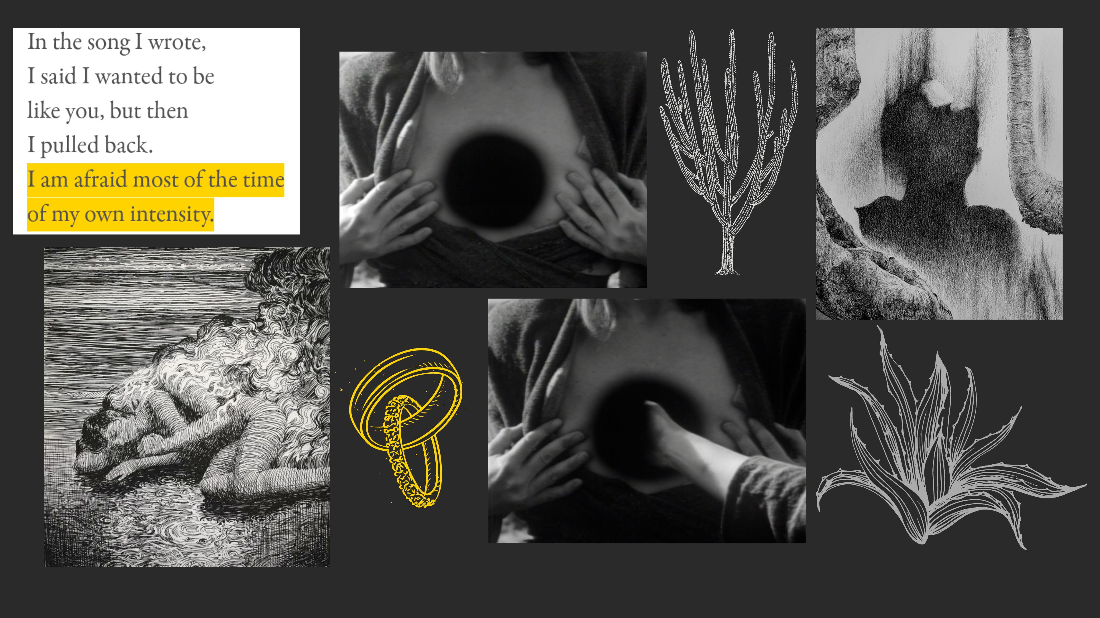 An image of a mood board