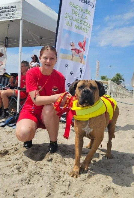 John Carter - Growth Webflow Template