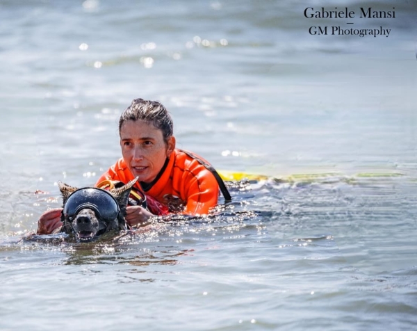 John Carter - Growth Webflow Template