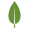 MangoDB Logo