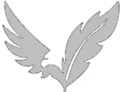 Zetaton - Expert Software Development Services