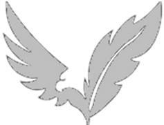 Zetaton - Expert Software Development Services