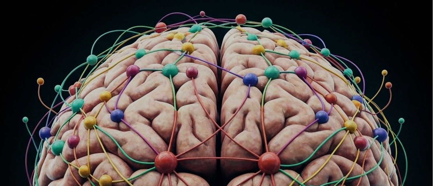 Artificial Intelligence Development Services | Zetaton